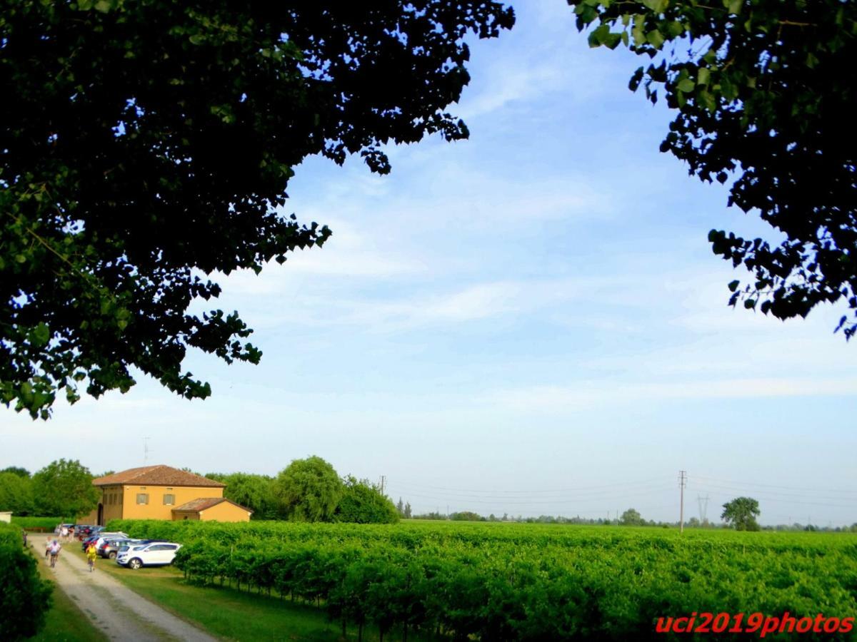 Agriturismo Vitae Fabbrico Extérieur photo